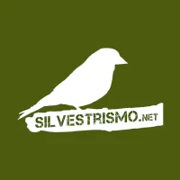 Silvestrismo